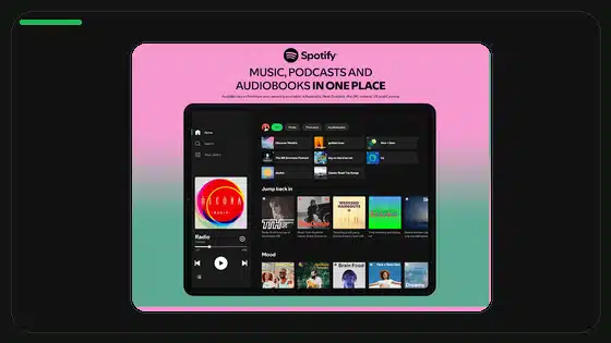 Cómo reducir el consumo de batería de Spotify Premium APK - Spotify app screenshot 9