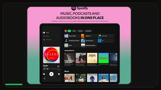 Instalación limpia vs actualización de Spotify Premium APK - Spotify app screenshot 9