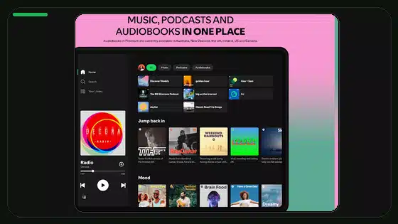 Lista de privacidad de datos para Spotify Premium APK - Spotify app screenshot 9