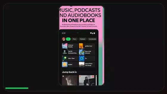 Ajustes del ecualizador en Spotify Premium APK explicados featured Spotify screenshot