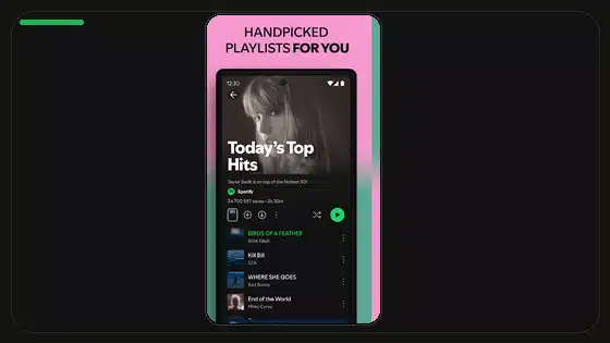 Ajustes del ecualizador en Spotify Premium APK explicados - Spotify app screenshot 4