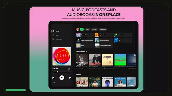 Lista de comprobación inicial para Spotify Premium APK - Spotify app screenshot 3