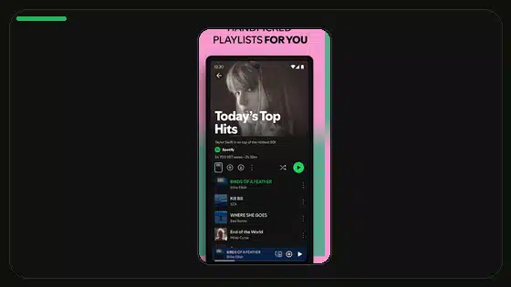 Cómo reducir el consumo de datos de Spotify Premium APK - Spotify app screenshot 4