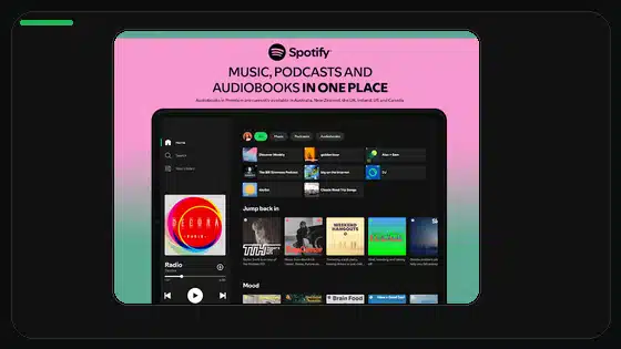 Cómo reducir el consumo de datos de Spotify Premium APK - Spotify app screenshot 9