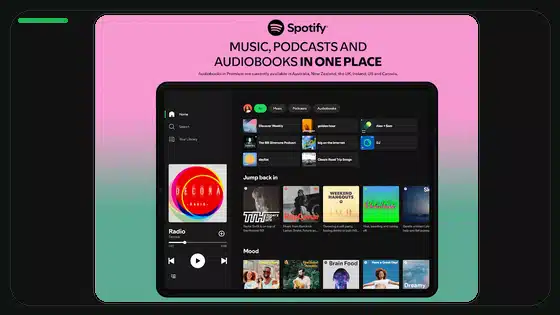 Instalación de Spotify Premium APK en Google Pixel - Spotify app screenshot 9