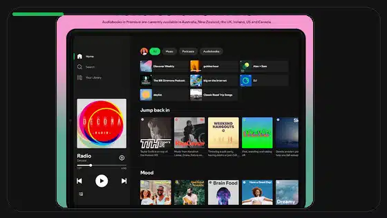 Consejos para varias cuentas en Spotify Premium APK - Spotify app screenshot 9