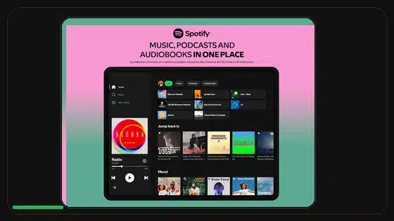 Spotify Premium APK modo sin conexión no funciona - Spotify app screenshot 9