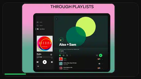 Permisos de Spotify Premium APK explicados - Spotify app screenshot 2