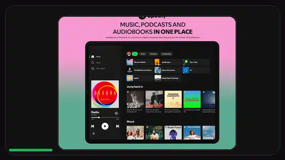 Permisos de Spotify Premium APK explicados - Spotify app screenshot 3