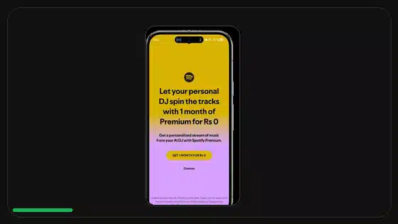 Permisos de Spotify Premium APK explicados - Spotify app screenshot 5