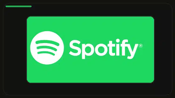 Permisos de Spotify Premium APK explicados - Spotify app screenshot 9