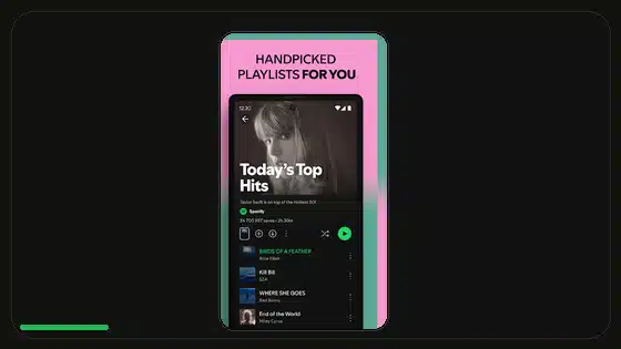 Aviso de Play Protect en Spotify Premium APK explicado - Spotify app screenshot 4