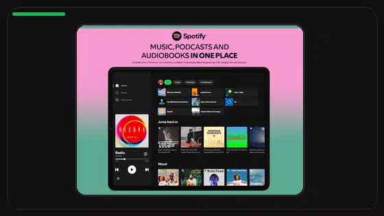 Aviso de Play Protect en Spotify Premium APK explicado - Spotify app screenshot 9