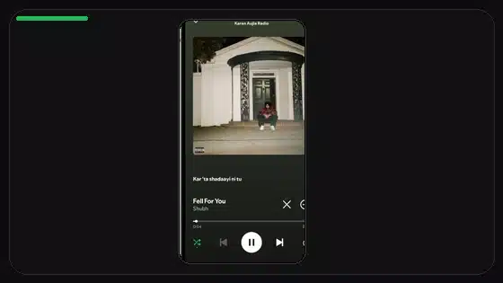 Spotify Premium APK no carga playlists: solución - Spotify app screenshot 7