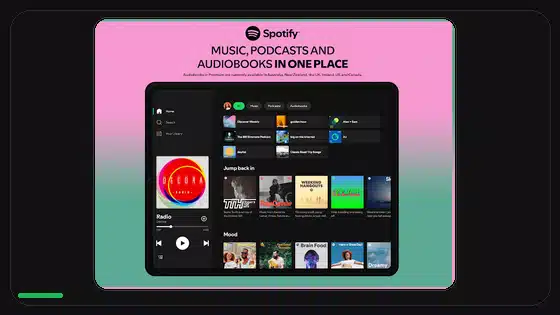 Riesgos de privacidad de Spotify Premium APK explicados - Spotify app screenshot 3