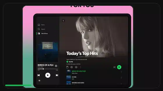 Ajustes de privacidad del perfil en Spotify Premium APK - Spotify app screenshot 4