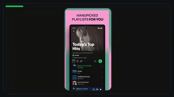 Firma incompatible de Spotify Premium APK explicada - Spotify app screenshot 4