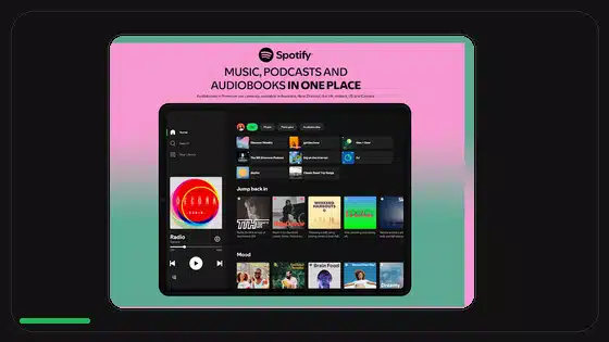Firma incompatible de Spotify Premium APK explicada - Spotify app screenshot 9