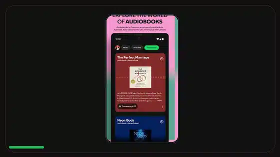 Spotify Premium APK dividido vs APK universal - Spotify app screenshot 6