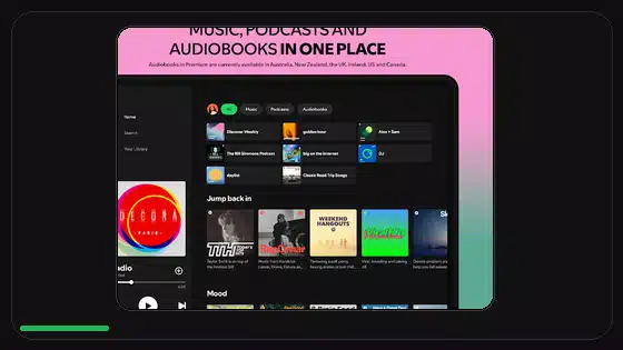 Spotify Premium APK dividido vs APK universal - Spotify app screenshot 9