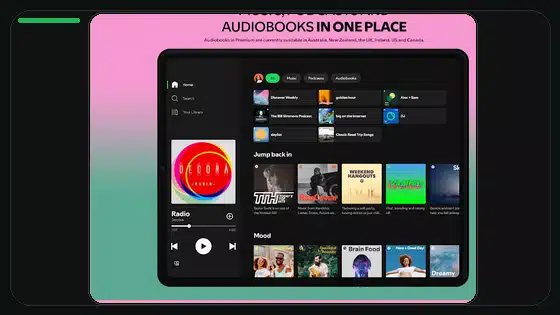 Guía de permisos de almacenamiento para Spotify Premium APK - Spotify app screenshot 3
