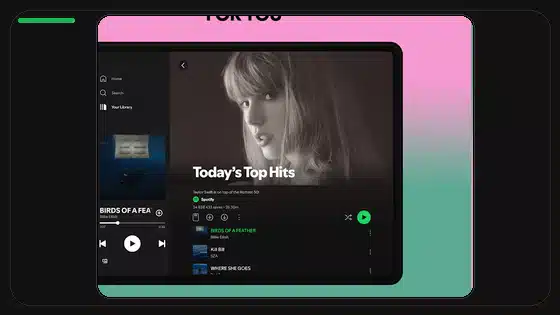 Guía de permisos de almacenamiento para Spotify Premium APK - Spotify app screenshot 4