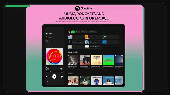 Spotify Premium APK se queda en la pantalla de carga - Spotify app screenshot 9