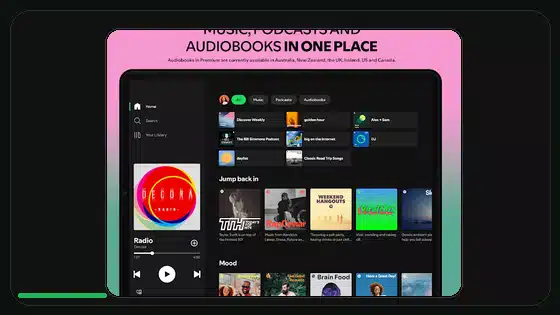 Lista de seguridad al actualizar Spotify Premium APK - Spotify app screenshot 3