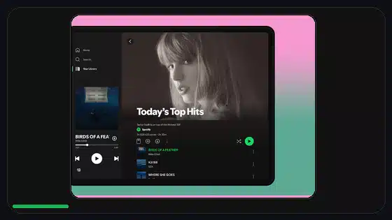 Lista de seguridad al actualizar Spotify Premium APK - Spotify app screenshot 4