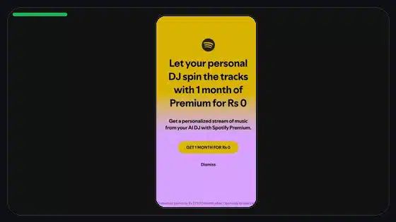 Lista de seguridad al actualizar Spotify Premium APK - Spotify app screenshot 5