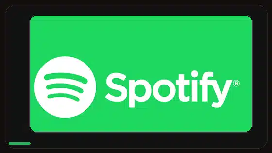 Spotify suena muy bajo en Android: solución - Spotify app screenshot 9