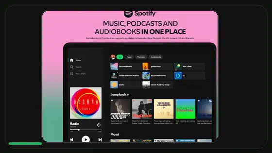 Cuándo evitar instalar un APK modificado - Spotify app screenshot 9