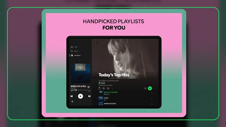 Variantes DPI de Spotify APK explicadas - Spotify app screenshot 2