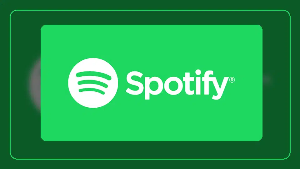 Variantes DPI de Spotify APK explicadas - Spotify app screenshot 9