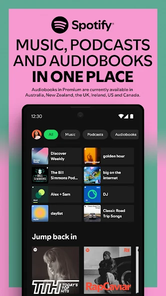 Spotify feature screenshot 1