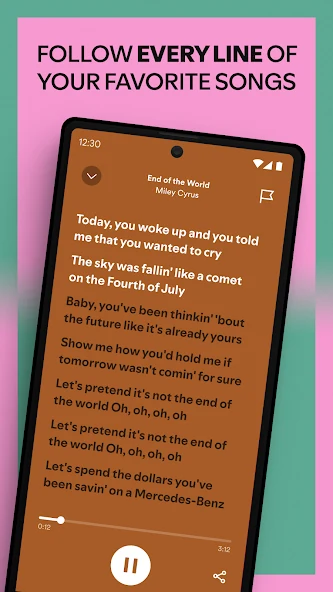 Spotify feature screenshot 3