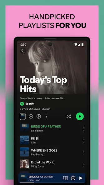 Spotify feature screenshot 4