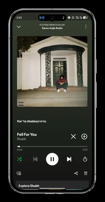 Spotify feature screenshot 17